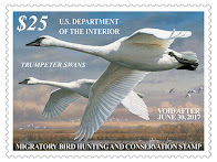 Duck Stamp