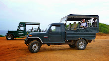Safari à au Parc national de Yala