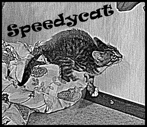 Meikä on speedycat!