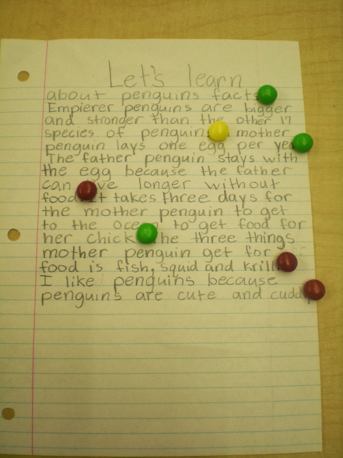 Research paper about penguins picture