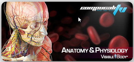 AIO Visible Body Anatomía del cuerpo humano 3D 2014