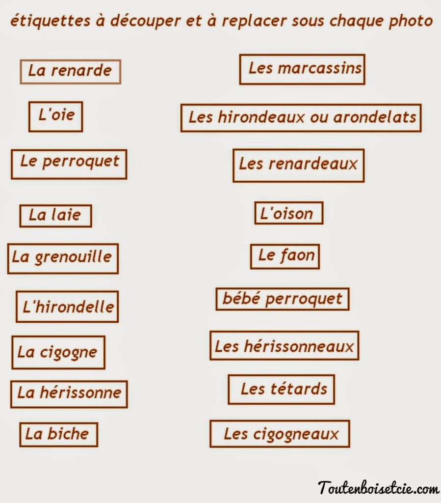 étiquettes à découper pour le jeu maman bébé animaux