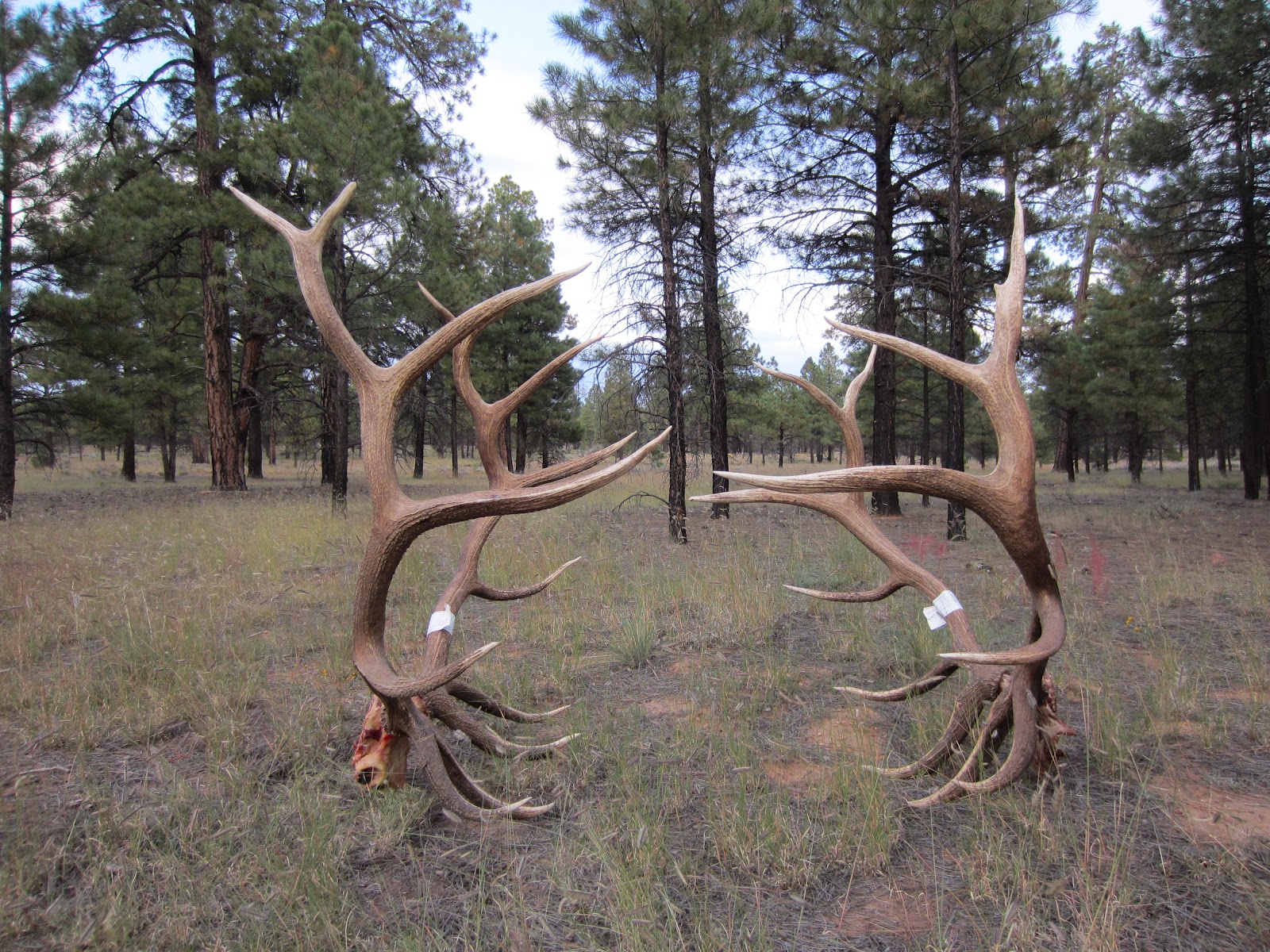 Jay Scott Outdoors September 2012