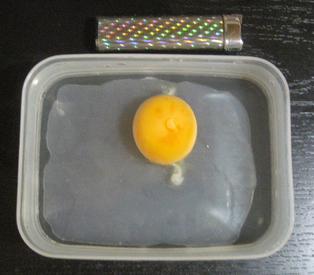 釣りのアルバム タナゴ釣り イワナ釣り等 タナゴ釣りの餌