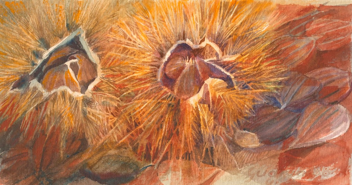 Joachim Pohl Pirckheimer Gesellschaft