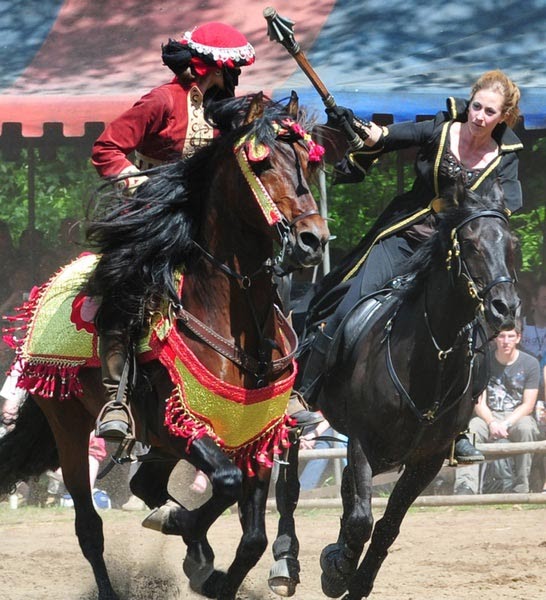 Https Pdfdokument Com Download Auf Entdeckungsreise Zu Den Schatzen Der Eifel Inhalt 59f55ab31723dd9458293942 Html