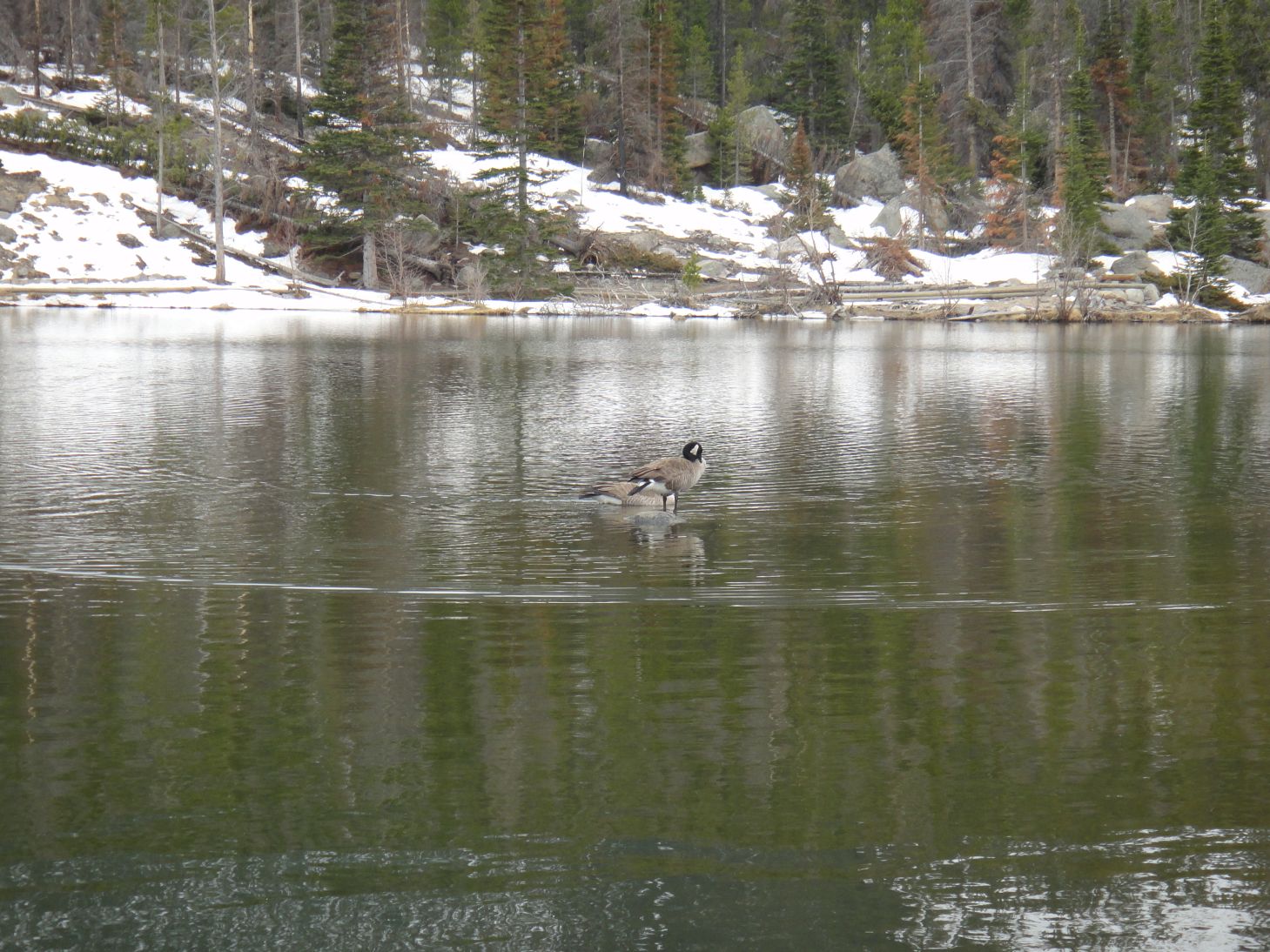 Hiking Rocky Mountain National Park Glacier Knobs and Sprague Lake.