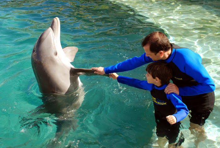 Tim hiểu Miami Seaquarium