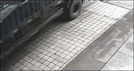 idiots_fighting_things_05.gif