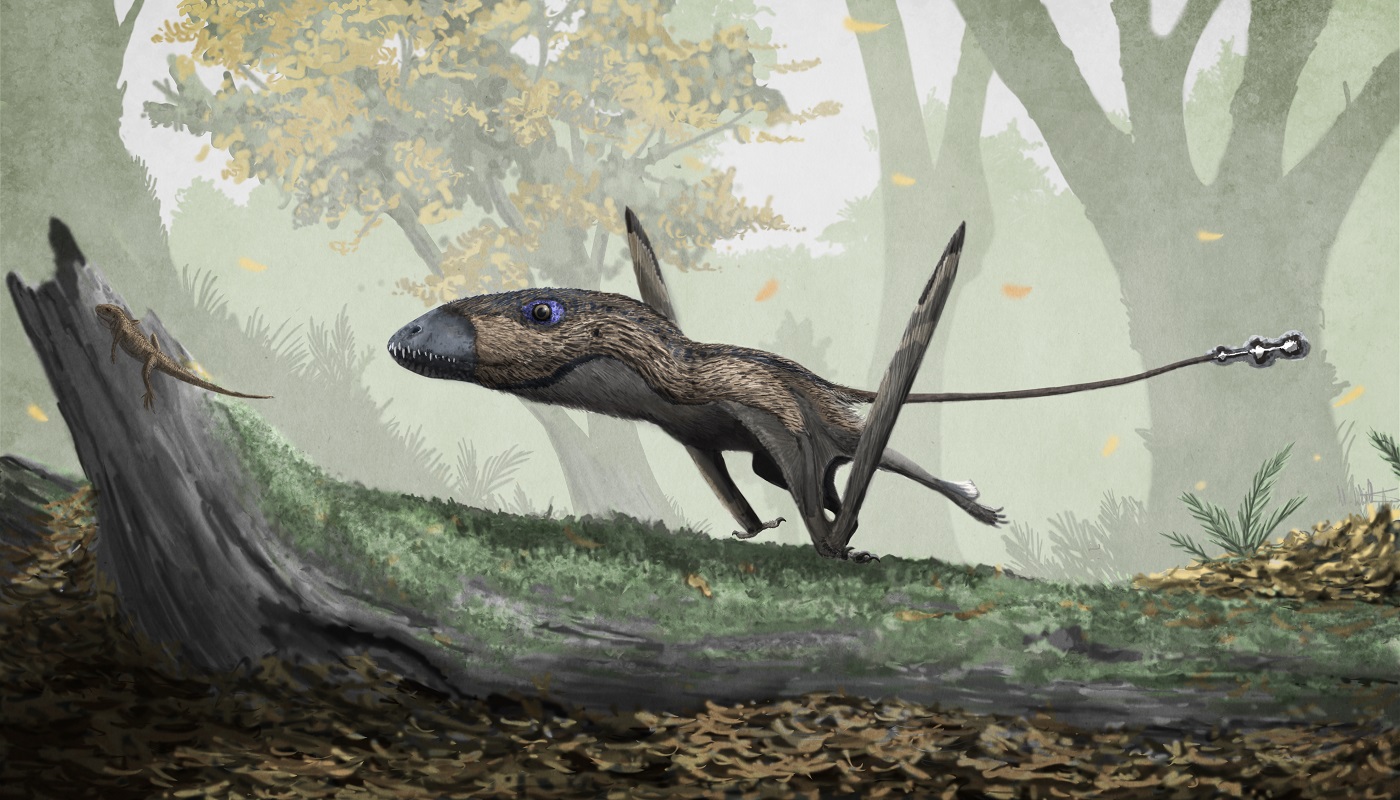 Mark P. Witton's Blog: Deinosuchus: the Dalek-backed alligatoroid that  (sometimes) made chew toys of dinosaurs
