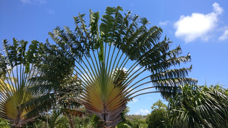 Goes Where Cabo Frio Strand Rio De Janeiro