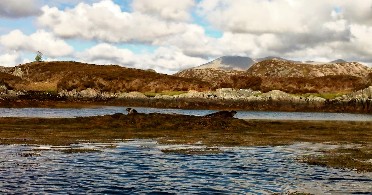 Carina Humberstone S Adventures Travel Canoeing Loch Laxford