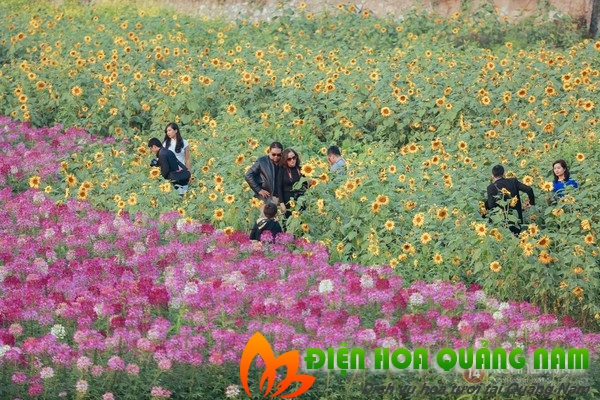 [Image: Hot-bac-nho-nhung-vuon-hoa-dep-nhu-tranh-o-Ha-Noi-6.jpg]