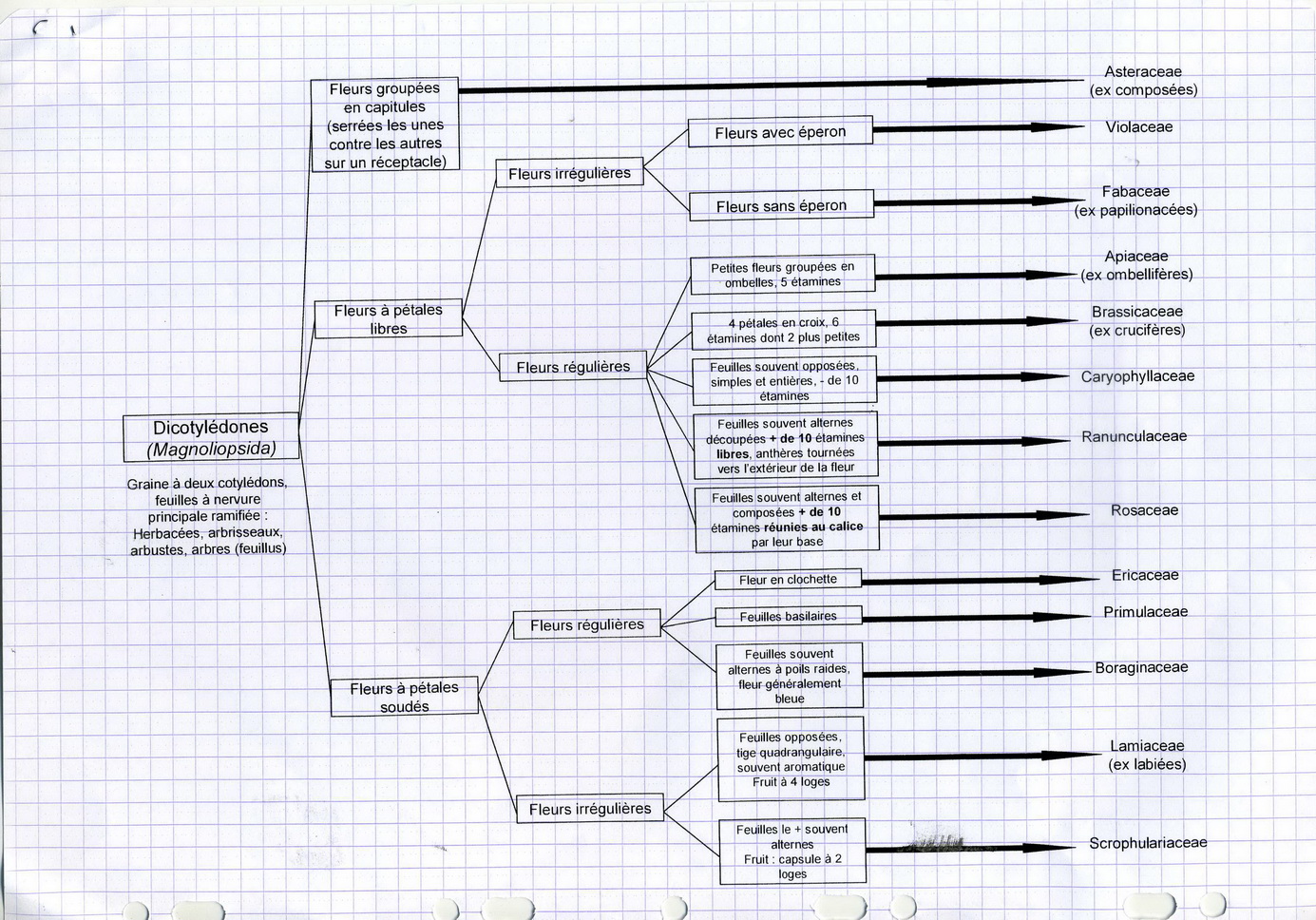 Association La Molène mai 2012