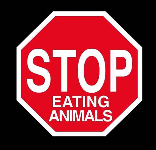 Stop Meat