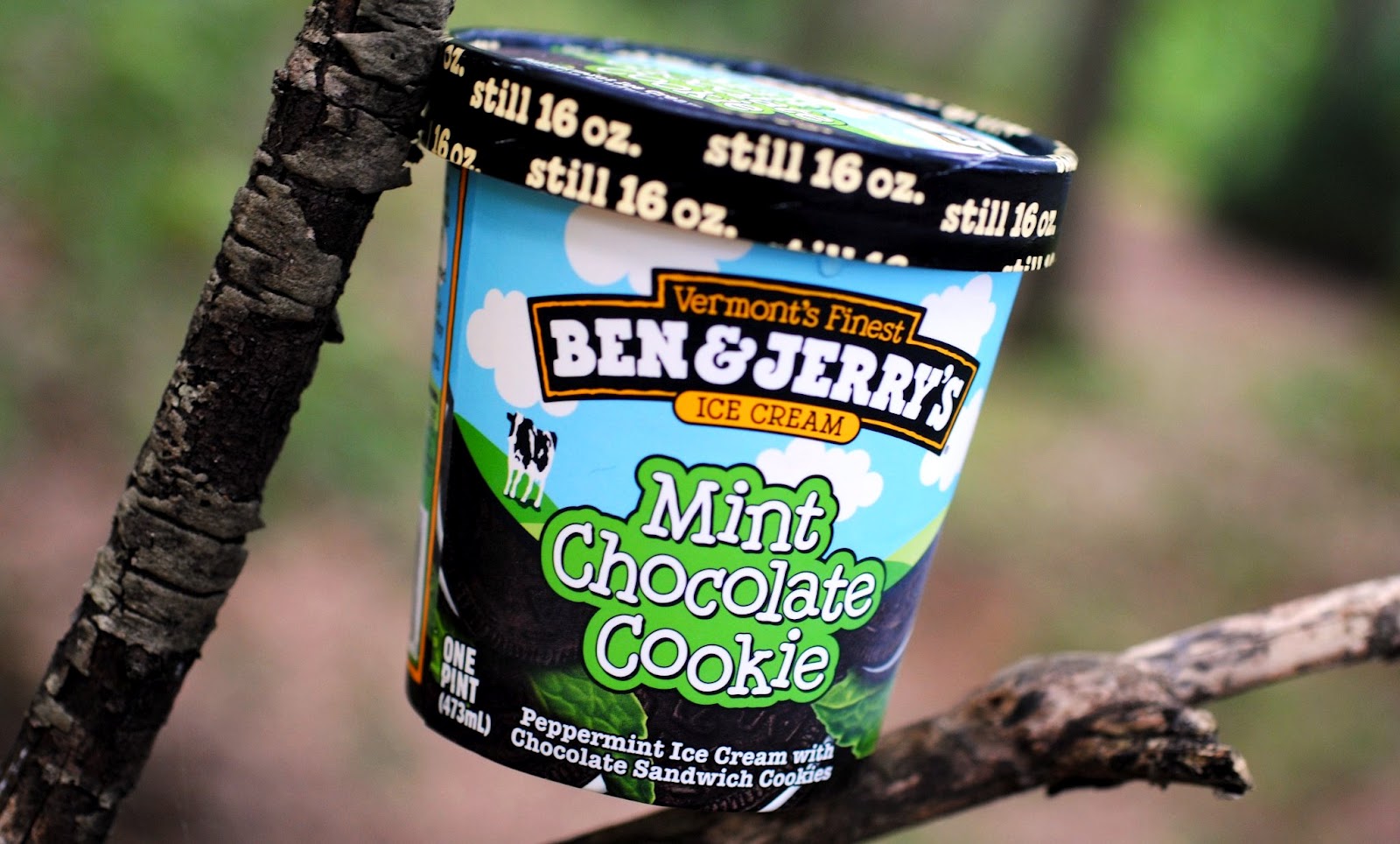 food and ice cream recipes REVIEW Ben & Jerry's Mint Chocolate Cookie