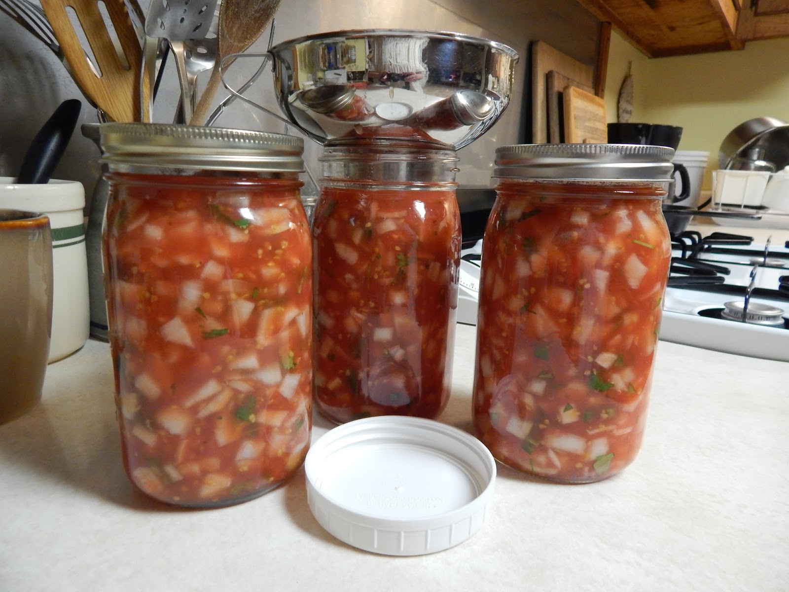 Thoughts from Frank and Fern Frozen Tomato Salsa Experiment