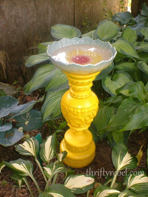 DIY-купальня для птиц