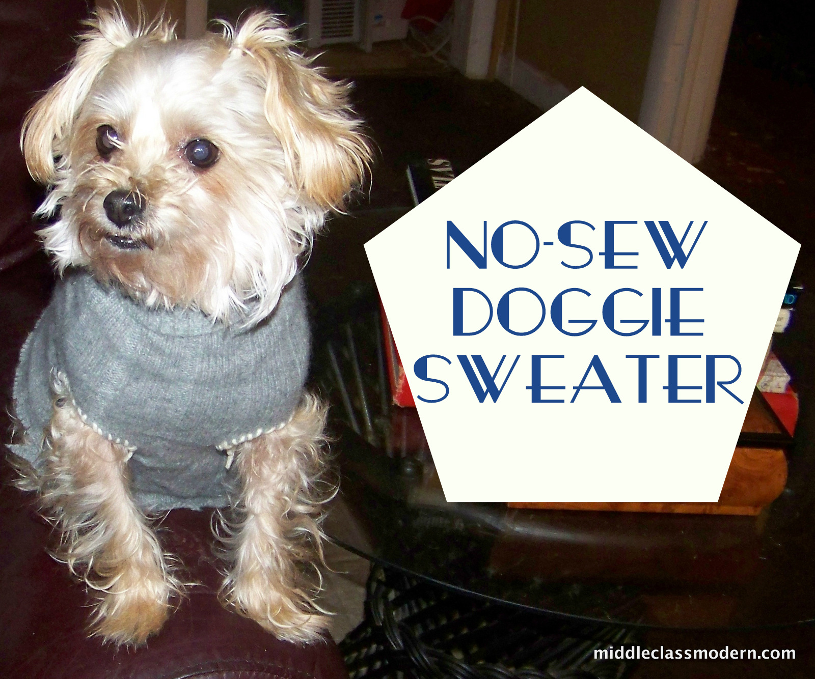 This is a graphic of Mesmerizing Free Printable Sewing Patterns for Dog Clothes It is a photo of Mesmerizing Free Printable Sewing Patterns for Dog Clothes