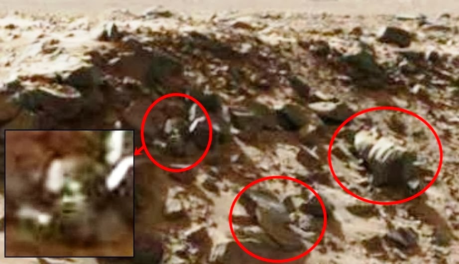 Curiosity latest images show unexplained objects on Mars – Jan 30, 2014