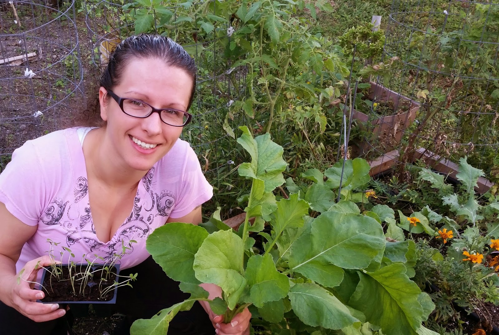 Back to the Basics! Plant Heirloom Seeds for VICTORY!