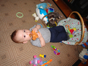 Hank chillin' in his toy basket