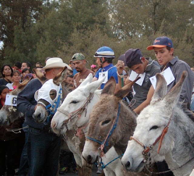 Saldo blanco en el carnaval