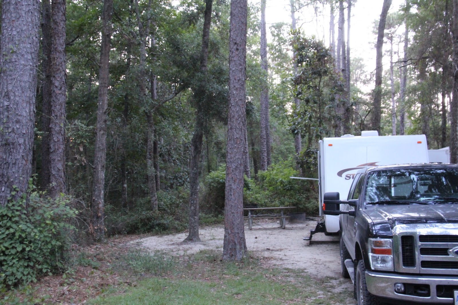 Operation Explorations REVIEW Apalachicola National Forest Florida