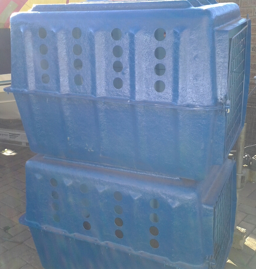 Matotoland Kennel New Generation GSP's. HPR Breed & Hunting Dogs Dog