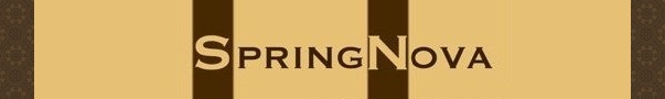 SpringNova blog