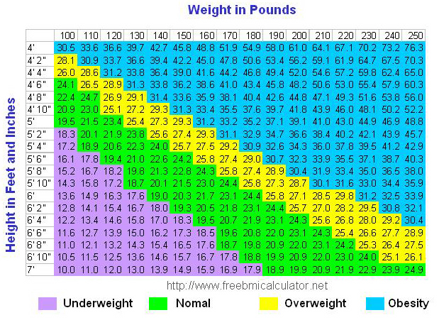 Updated Weight Chart