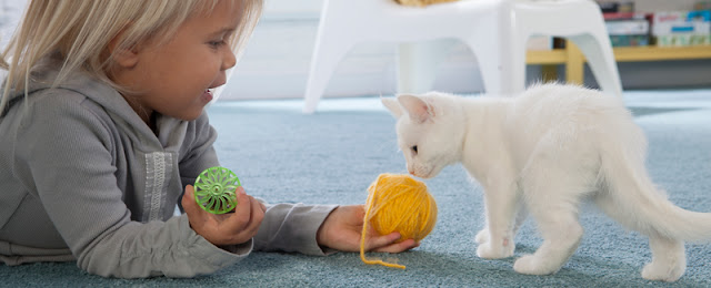 Young girl comfortably plays with kitten on carpet.