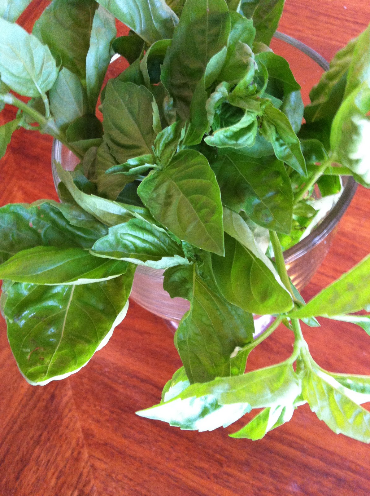 I'm Hungry An Ode to Food Basil Pesto Capellini