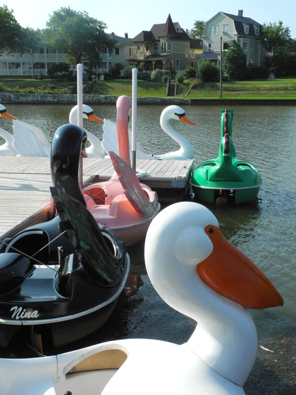 Studio and Garden July 2013