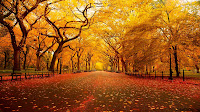 Autumn New York2