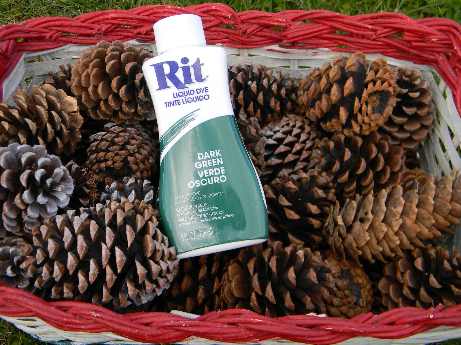 Artistic Endeavors 101: Dyeing Pine Cones with RIT Dye