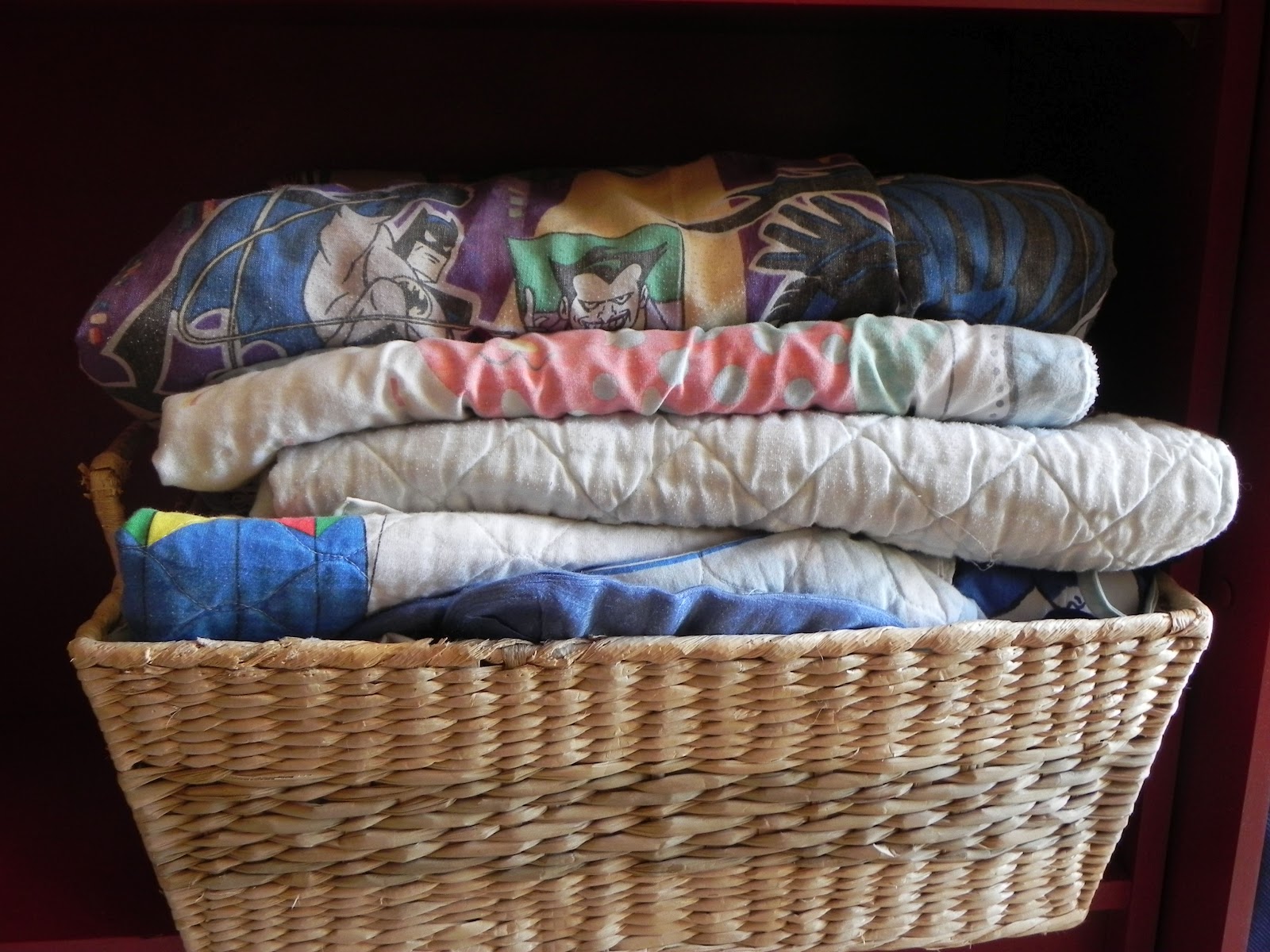 The Messy Roost Bookcase to Launch Pad/Daycare Zone