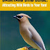 Backyard Bird Guide - Free Kindle Non-Fiction