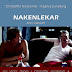Nakenlekar (2009) Am I Naked