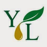 Young Living 香港