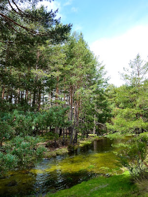 Rio Tormes Rio Tormes en Gredos