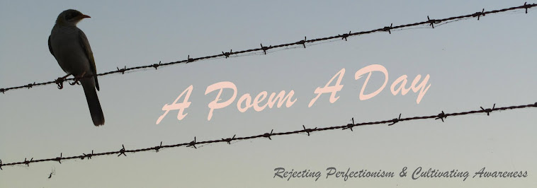 A Poem A Day