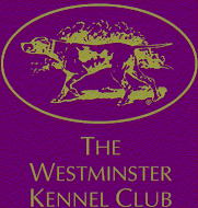 Westminster Kennel Club