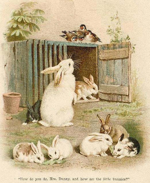 bumble button Darling Victorian Rabbits and Bunnies From Children's