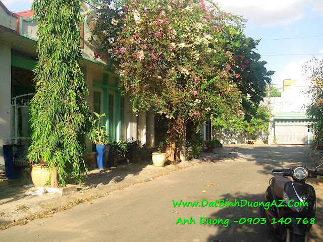 bán đất kdc phú hòa 1 bình dương, ban dat kdc phu hoa 1 binh duong