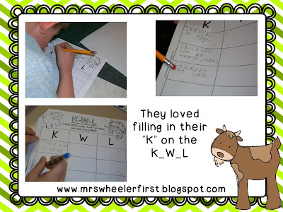 30 animals name picture