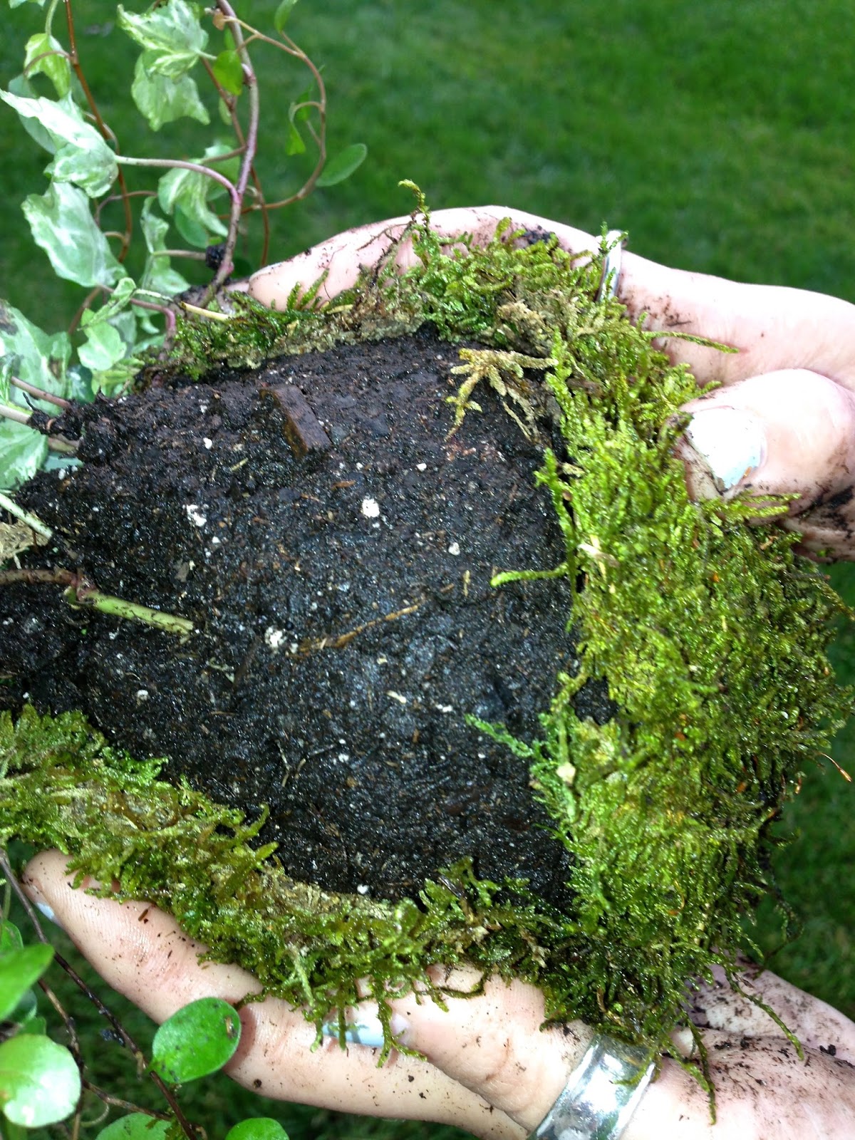 Home Inspirations Japanese Kokedama (Moss Ball) Hanging Plant!