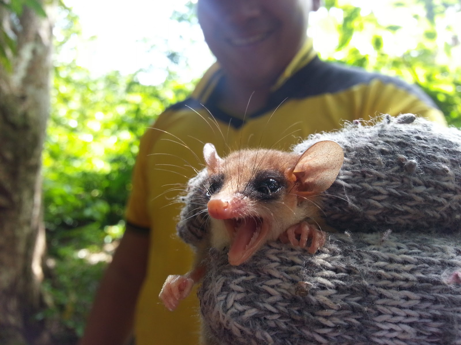 SEMMAt Secretaria Municipal de Meio Ambiente e Turismo de Porto de Moz Gambá ( também chamado