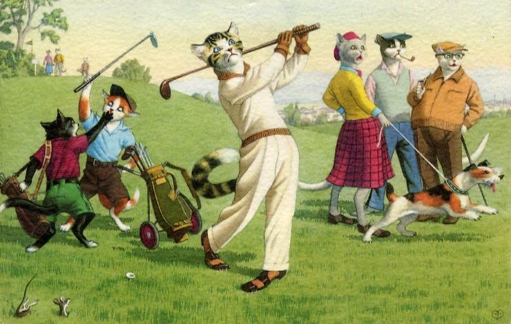 cat golfing