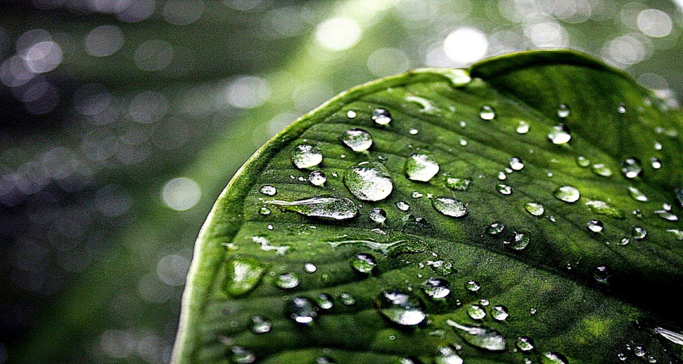 wallpaper desktop nature rain 3d Wallpapers wallpaper desktop nature rain 3d Wallpapers